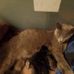 May Walsh - Facebook