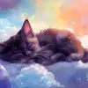 Angelmay Webb - @angelmay.webb - TikTok