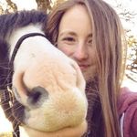 May Webb - @may_webb_equine - Instagram