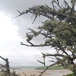 May Winters - @winterytreetop - Instagram