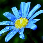 May Winters - @horoskop.unknown - Instagram
