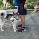 Eduardo Maya Arevalo - @emaya2090 - Instagram
