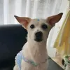 maya arevalo - @_mayamayuna - TikTok