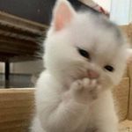 Manai Jed - @ayoubi_maya - Instagram