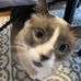 Maya Ayoubi - Facebook