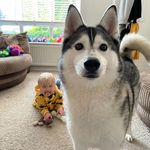 Maya Barlow - @mayaratbeast - Instagram
