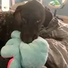 Maya Barr - @maya.barr15 - TikTok