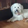 maya blake - @maya.blake4 - TikTok