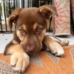 itsmayablueeyes - @mayablueeyes_ - Instagram