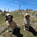 Maya and Blue - @maya._blue - Instagram