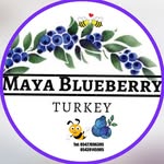 Mᴀʏᴀ‘s Bʟᴜᴇʙᴇʀʀʏ Fᴀʀᴍ - @mayablueberryfarm - Instagram
