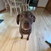 Maya🤥 - @mayabradley10 - TikTok