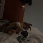 Mya Bradley - Facebook