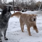 Maya & Chase - @maya_and_chase_ - Instagram