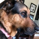 Maya - @childsmaya - Instagram