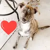 Maya Cole - @maya__cole - TikTok
