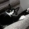 maya!! - @maya..cole - TikTok