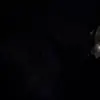 maya coleman - @maya.coleman50 - TikTok