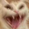 maya collins - @maya..collins - TikTok
