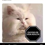 Maya(*3*) - @mayacor_nejo - Instagram