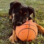 Maya Cornejo - @mayathedog2023 - Instagram