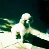 maya Dawson - @0112571219 - TikTok