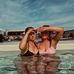 Mya Dawson - Facebook