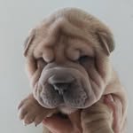 Maya Fabian🐾 - @mayafcr30 - Instagram