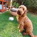 Mya Fitzpatrick - Facebook