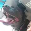 Maya Gonzalez - @m.gonzalezzzzzz - TikTok