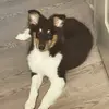 Maya Gonzalez - @hiyaadorablemaya - TikTok