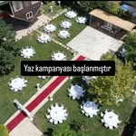 Maya Green Garden - @mayagreengarden - Instagram