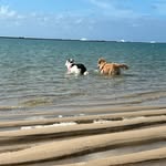 Haley - @haley_e_maya - Instagram