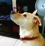 Maya Haley - Facebook