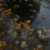 Maya Harper - @user_21048709 - TikTok