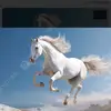 ست الكل بنت البلد - @mayahashem0 - TikTok