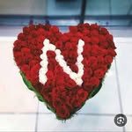 Maya Hashem - @maya.hashem.589 - Instagram
