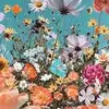 🐚🌷Maya🌷🐚 - @maya.house.builder - TikTok