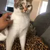 Maya - @mayahouse12345 - TikTok