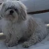 mayahouseworth - @mayahouseworth - TikTok