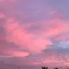 maya houston - @maya._.houston - TikTok
