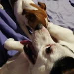 maya jack - @jack_and_maya - Instagram
