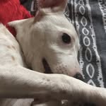 maya.jack - @maya.jack_____ - Instagram