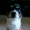 Maya Jacobs - @maya.jacobs7 - TikTok