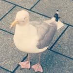 Maya - @maya.key__ - Instagram