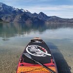 Maya - @maya_key_west - Instagram