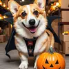 Maya Lake - @maya.lake0 - TikTok