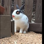 Maya Lennon - @freshzestylemon - Instagram