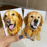 Luke & Maya - @luke.mex.maya.br - Instagram