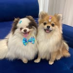 Maya, Luke e Raj🌷💙💙 - @luke.maya.spitz - Instagram